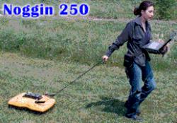 . .    NOGGIN 250 / 500